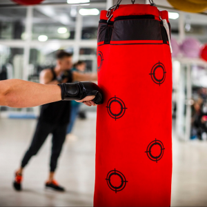 Punching Bag 80cm